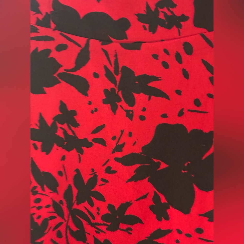 Ruby Rox Red and Black Floral Midi Swing Dress - Picture 5 of 16